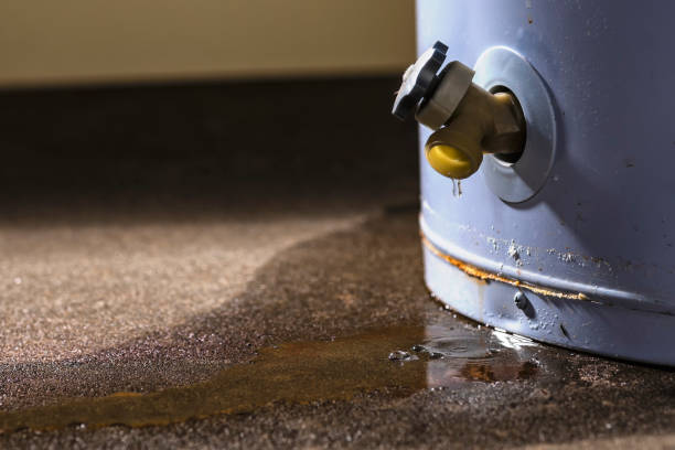 Best Ceiling water damage repair  in Arthurdale, WV