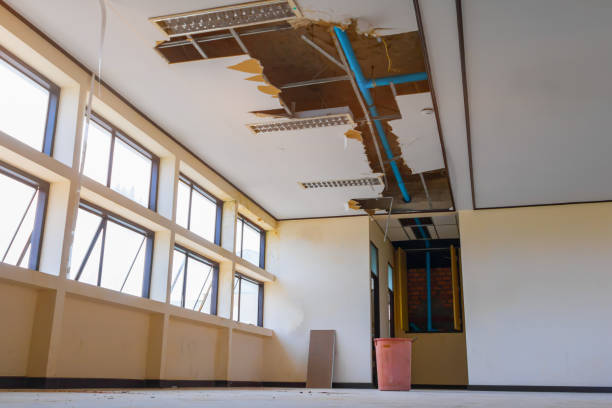 Best Ceiling water damage repair  in Arthurdale, WV