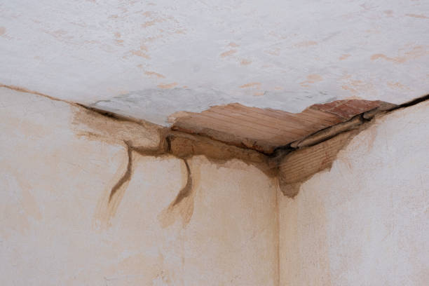 Water damage restoration experts in WV