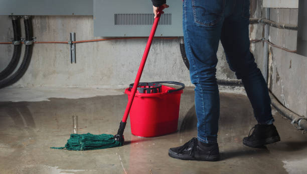 Best Carpet water damage restoration  in Arthurdale, WV
