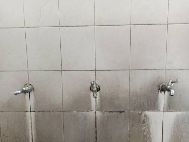 Best Water damage restoration near me  in Arthurdale, WV
