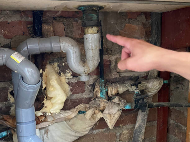 Best Water damage restoration services  in Arthurdale, WV
