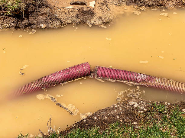 Best Residential water damage restoration  in Arthurdale, WV