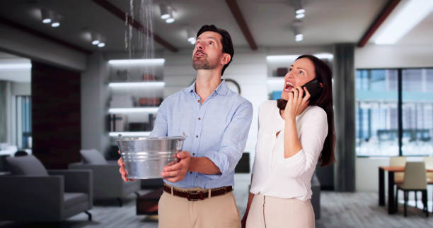 Best Water damage restoration specialists  in Arthurdale, WV