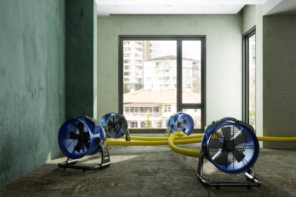 Best Water damage contractors near me  in Arthurdale, WV